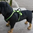 thumbnail image 5 of Arnés de nailon ajustable para perros, chaleco reflectante, suave, transpirable, sin tirones, arnés para mascotas, correa para perros pequeños y grandes, 5 of 5