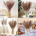 thumbnail image 6 of Viworld Pampas Grass, Natural Dried Pampas Grass Branches Decor for Home Kitchen Garden Party Photographing Flower Arrangement Vase Decor, 30pcs Natural, 6 of 9