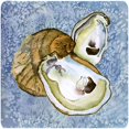 thumbnail image 1 of Carolines Treasures 8152FC Oyster Foam Coasters - Set 4, 1 of 1