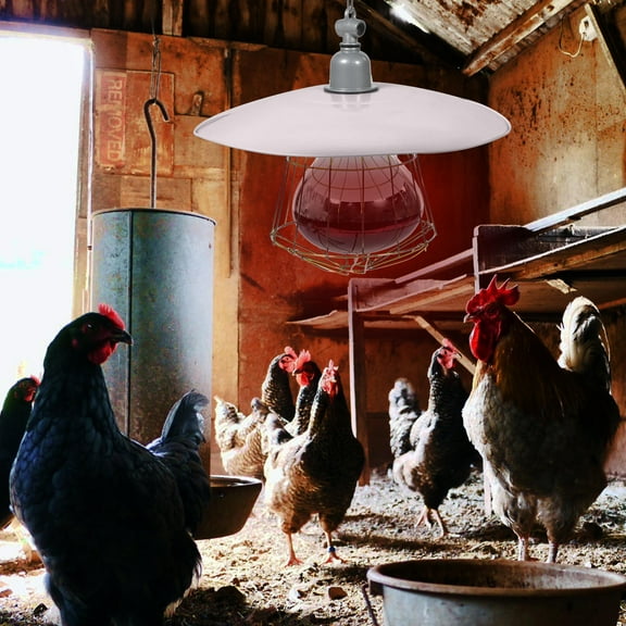 MEIBUTYUP 100W Livestock Heating Lamp White Iron Warming Lamp for Home Use and Design