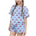 thumbnail image 2 of Amidoa Girls Summer 2 Piece Outfits Cute Floral Short Sleeve and Elastic Waist Shorts Kids Clothing Set Blue Size 4T Blue Size 4T, 2 of 6