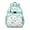 Greenish-blue-55, variant on Colorful Dinosaur Lover School Backpack with Cartoon Baby Dino and Vibrant Nature Scene