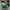 Green, variant on WXLWZYWL Fall Tops for Women Long Sleeve Collared V Neck Womens Button Down Color Block Blouse Casual Loose Fall Clothes