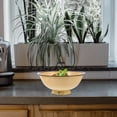 thumbnail image 3 of FELTECHELECTR 2Pcs Retro Enameled Bowls Soup Basin Yellow 16.0x16.0x7.0in For Household Item, 3 of 8