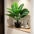 thumbnail image 5 of Gumesh Nearly Natural Artificial Dieffenbachia Plant Faux Greenery in Planter for Indoor Home Decor, 5 of 6