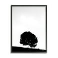 thumbnail image 2 of Stupell Industries Minimal Sycamore Tree Silhouette Black White Nature Photography, 16 x 20, Design by Nathan Larson, 2 of 5