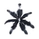 thumbnail image 2 of Cateissary 100x Chicken Satinettes Loose Feathers Craft DIY Wedding for Type3 NO3, 2 of 6