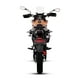 thumbnail image 3 of Motocicleta Doble Propósito TRECK SPARTAN 300 2024 Marrón, 3 of 12
