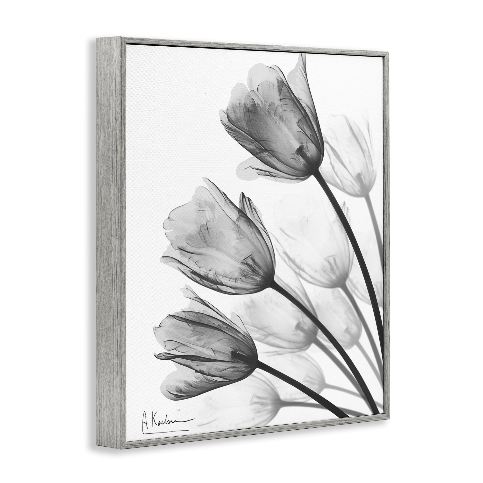 Stupell Industries Minimalist Tulip Fan Gray Framed Giclee Art, design by Albert Koetsier