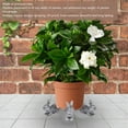 thumbnail image 3 of 3PCS Animal Statue Flower Pot Decorative Feet Plant Pot Support Resin Riser for Outdoor Garden Patio, 3 of 7