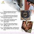 thumbnail image 4 of Horse Treats NickerDoodles, balde de 0,9 kg, horneado a fuego lento, sin aditivos, 4 of 7