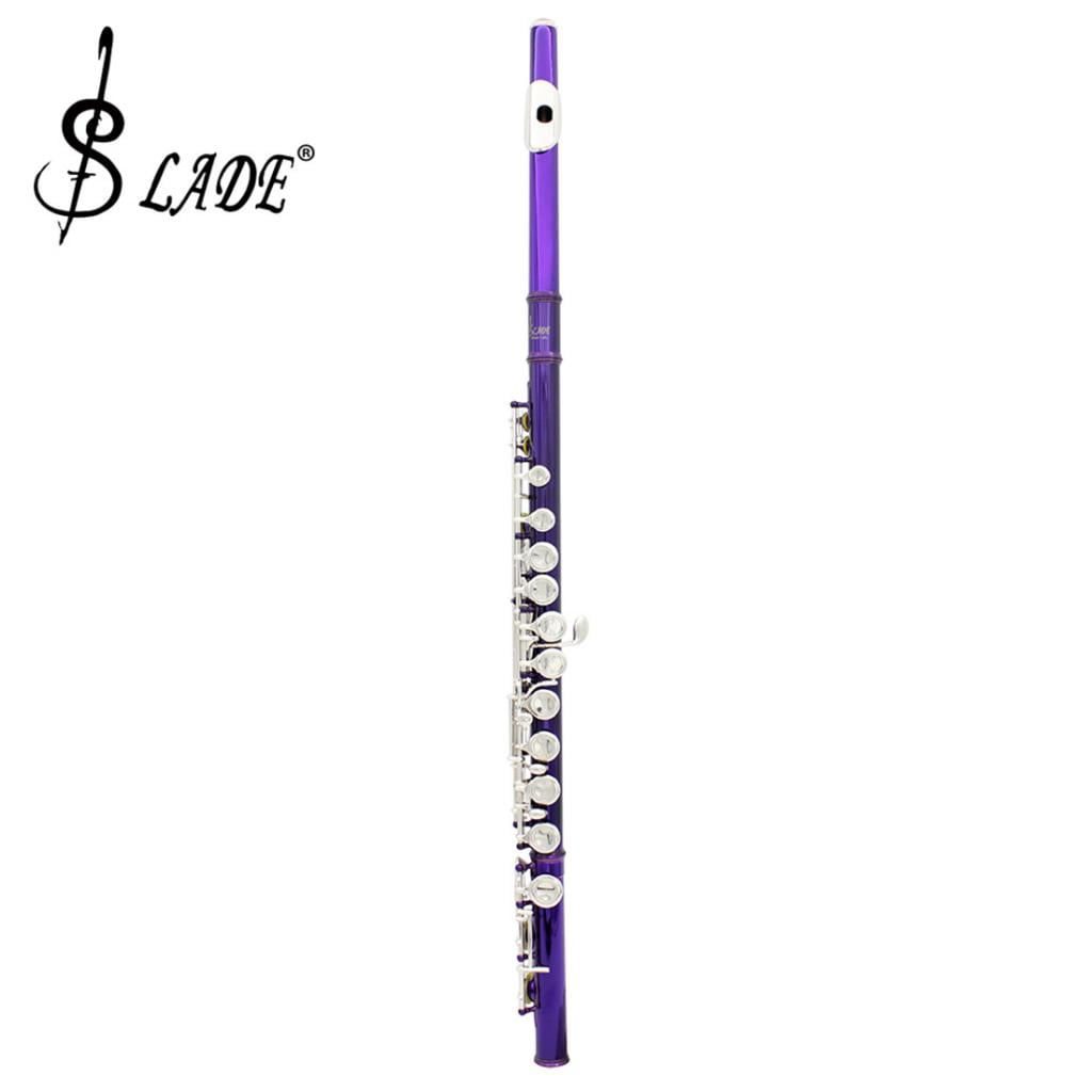 LeeQinersw 16 Hole Cupronickel Tube C Key Flute With 20 Pieces Key Plugs Purple