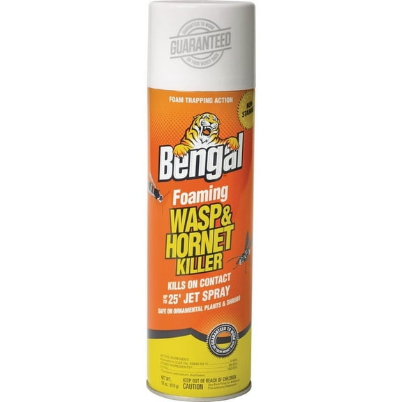 Bengal Outdoor Foaming Aerosol Wasp & Hornet Killer, 16 oz, 2 Pack