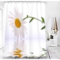 thumbnail image 5 of Daisy Shower Curtain, Farmhouse Floral Shower Curtain Set, Rustic White Flower Shower Curtains for Bathroom, Waterproof Fabric with 12 Hooks, 72 x 72 Inches, 5 of 6