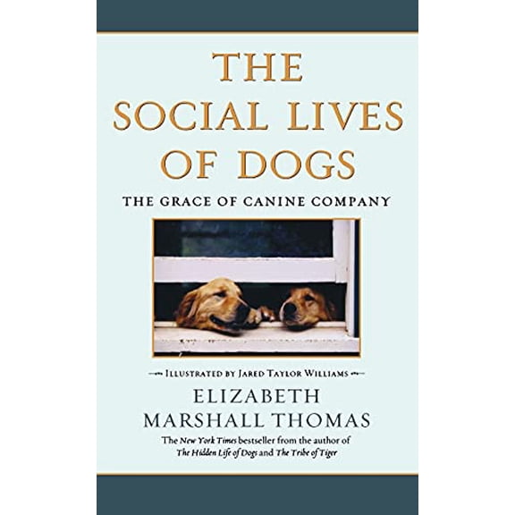 Pre-Owned The Social Lives of Dogs: The Grace of Canine Company (Paperback) 0743422368 9780743422369