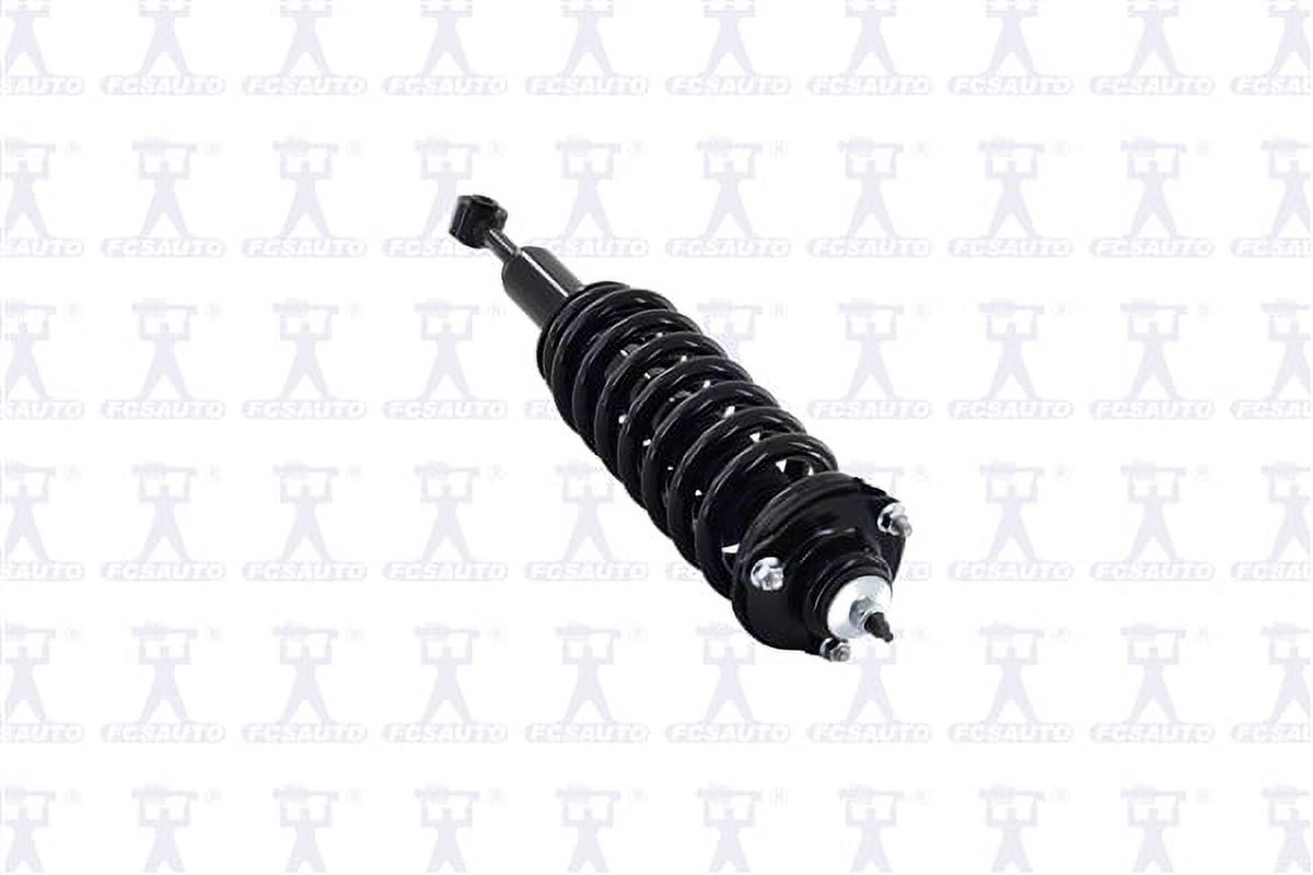 Suspension Strut and Coil Spring Assembly