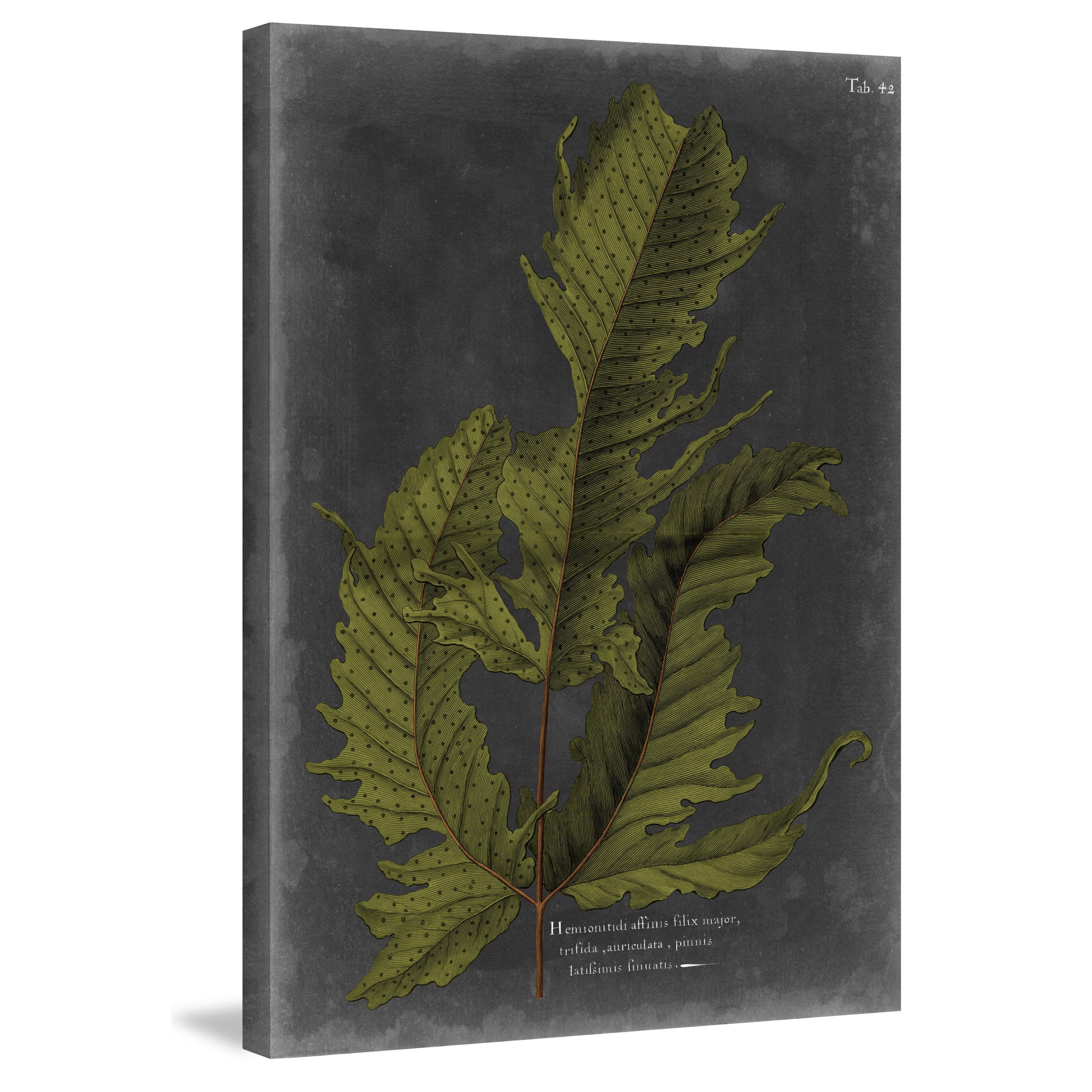 Marmont Hill "Foliage Dramatique I" Painting Print on Wrapped Canvas