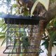 thumbnail image 3 of Outdoor Bird Feeder Hanging Suet Holder Food Dispenser Creative Parrot Treat Box With Roof Wind Proof, 3 of 5
