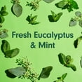 thumbnail image 6 of Softsoap Moisturizing Body Wash for Dry Skin, Mint and Eucalyptus, 20 fl oz Bottle, 6 of 13