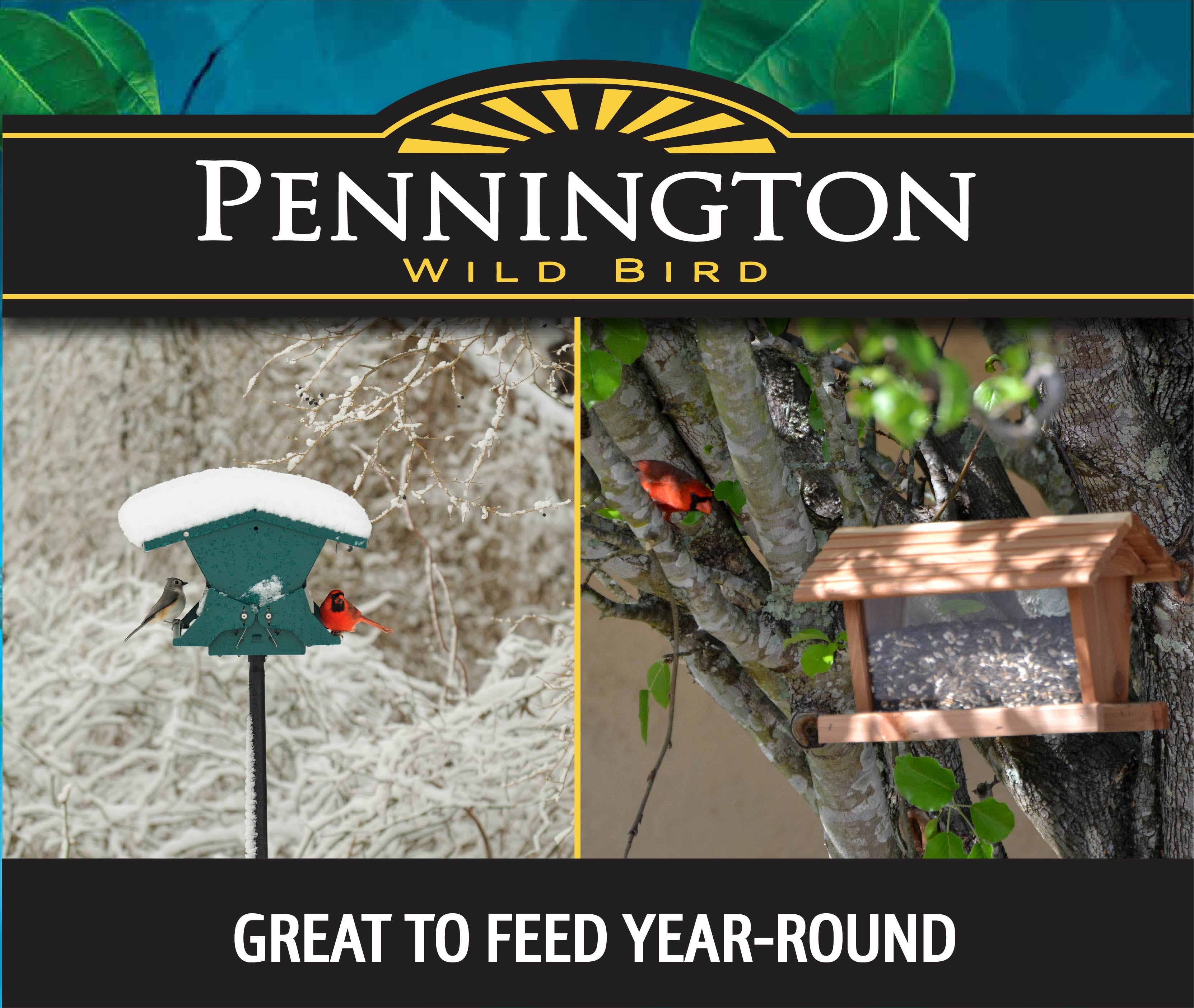 Pennington Premium Select Blend Wild Bird Food 10 lbs, 1 Pack, Dry