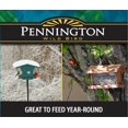 thumbnail image 5 of Pennington Premium Select Blend Wild Bird Food 10 lbs, 1 Pack, Dry, 5 of 9