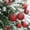 Red, variant on Rysoverian Christmas Ball Ornaments, 6 Pack 2.4 Inch Red White Hollow Snowflake Hanging Balls for Tree Holiday Decor