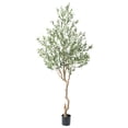 thumbnail image 4 of Nafresh 8FT Tall and Fuller Style Artificial Olive Tree, Realistic Faux Olive Plant for Indoor Décor, 4 of 6
