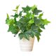 thumbnail image 2 of Artificial Green Plants Simulation Potted Home Office Hotel Lobby Decoration Green Plants Home Decoration Artificial Plants, 2 of 6