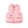 thumbnail image 3 of Esaierr 2-10 Years Boys Girls Sleeveless Jacket down Vest for Kids Baby,Fall Winter Printed Stand Collar Waistcoat Outerwear Coats with Pockets, 3 of 9