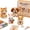 Pet Lovers, variant on 3D Beaded Bird DIY Kit, 4-Piece Set Animal Seed Bead Craft Art Kit for Adults and Beginners, Perfect Creative Gift