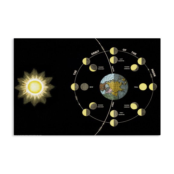 Stupell Industries Moon's Orbit & Phases Outer Space Painting Wrapped Canvas Canvas Art Print Wall Art, 24 x 16