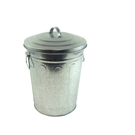 Steven Raichlen Best of Barbecue Galvanized Charcoal and Ash Can with Lid, great for Outdoor Grills and BBQ's,