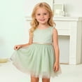 thumbnail image 2 of ZHOUCHANKIDS Girl Tutu Skirt 3-Layered Tulle Skirts for Little Girls Fluffy Ballet Dress Up for Party Green 6-12 Months, 2 of 5