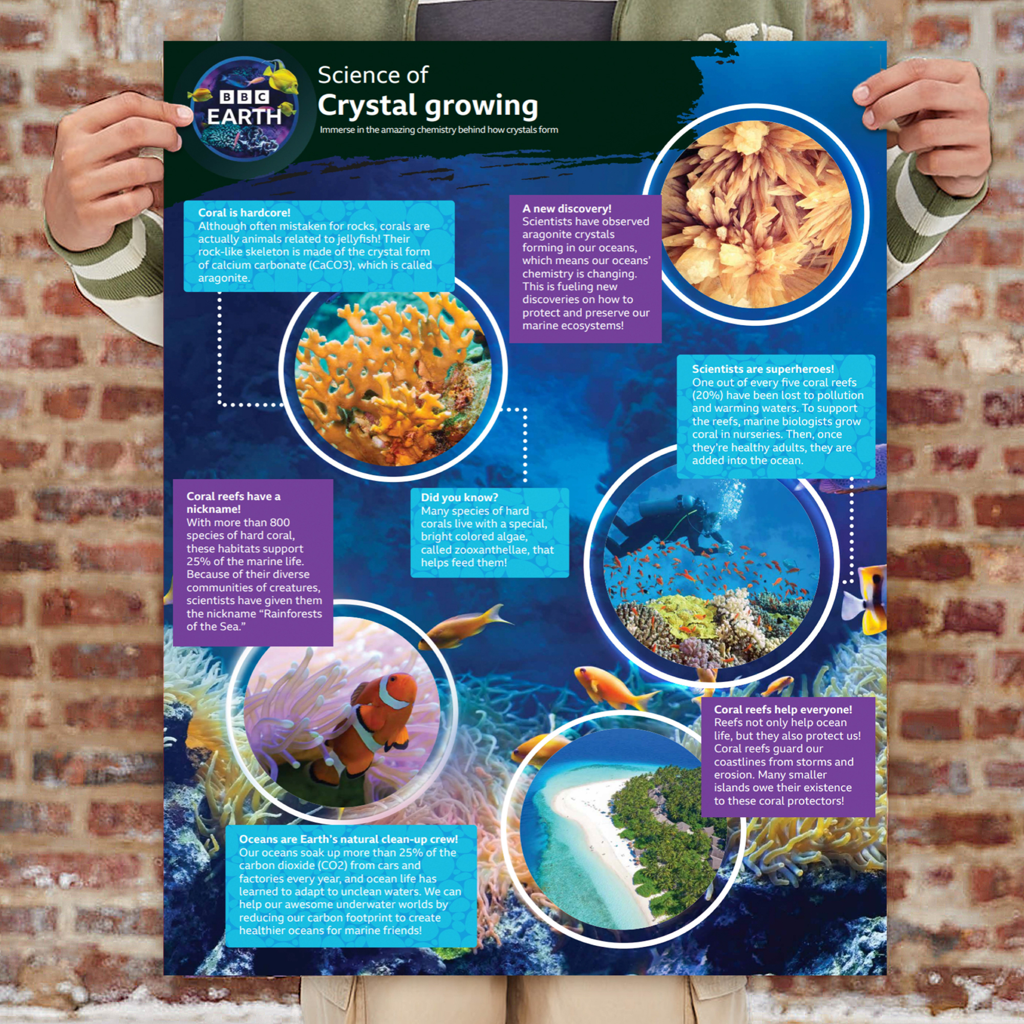 BBC Earth Grow & Discover Crystal Aquarium Kit photo 5