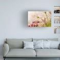 thumbnail image 3 of Trademark Fine Art Giuseppe Satriani Glacial Rose Canvas Wall Art, 3 of 4