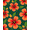 Orange, Pattern 2, variant on ODIKA 4' x 6' Machine Washable Non-Slip Area Rug, Tropical Hibiscus High Traffic Rug, Orange, 543560