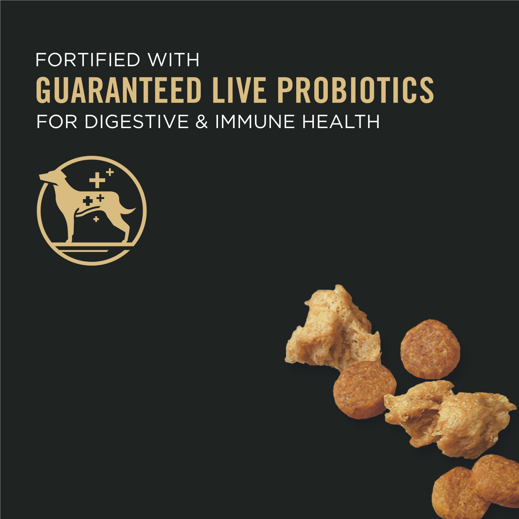 Purina Pro Plan Puppy Chicken & Rice High Protein Dry Food photo 2