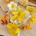 thumbnail image 2 of 3 Pack Bohemian Hawaiian Flower Hair Clips, Hair Accessories for Beach Party Daily Wear, 2 of 9