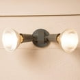 thumbnail image 5 of Cooper Lighting 2-Light Outdoor Spotlight, 5 of 8