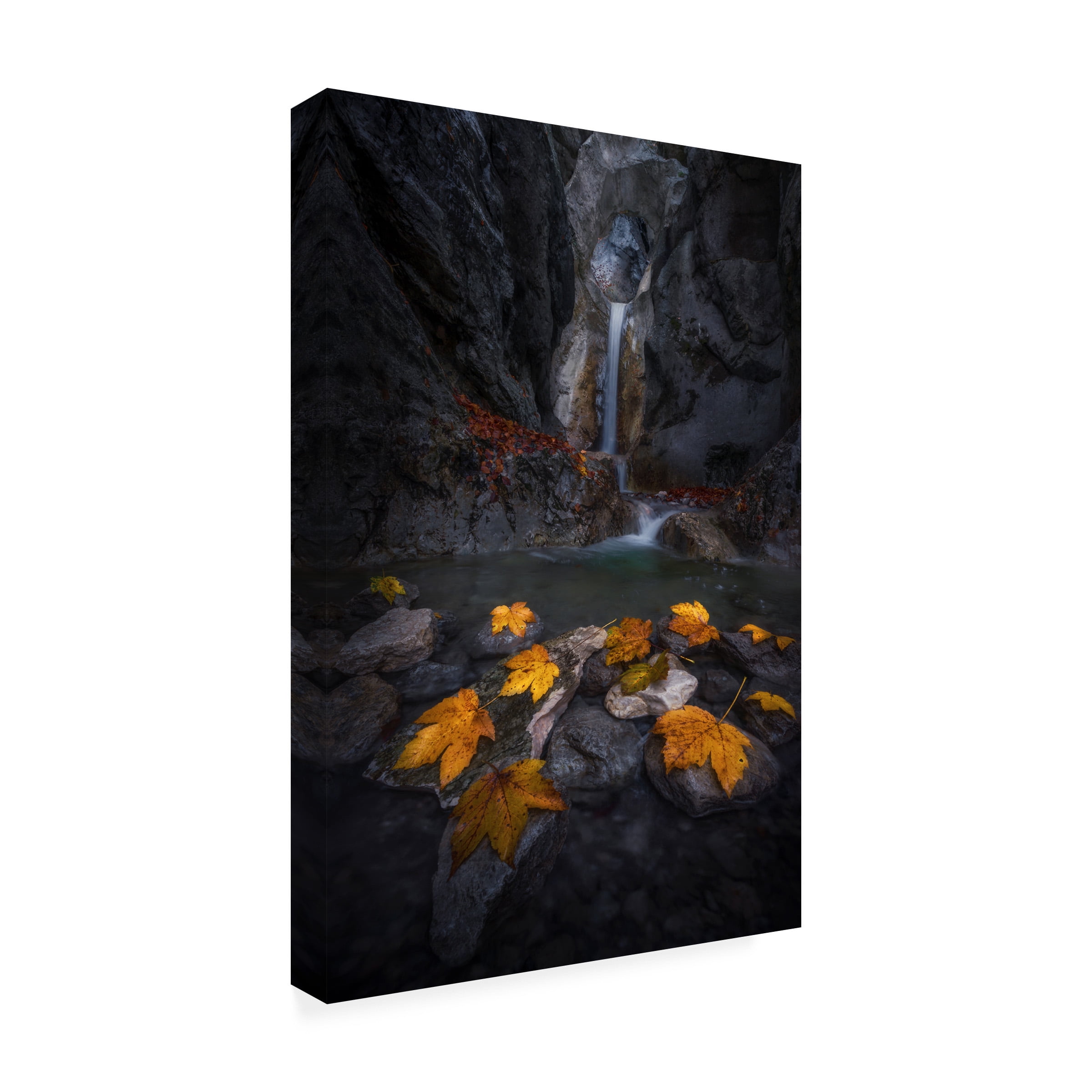 Nina Pauli 'Autumn Leaves In The Gorge' Canvas Art - Walmart.com