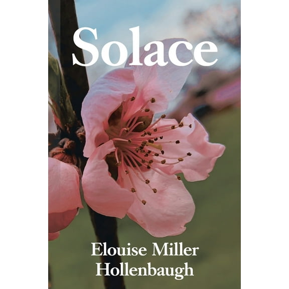 Solace (Paperback)