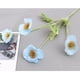 thumbnail image 5 of Flores falsas Arreglo floral de margarita pequeña Decoración de boda Flor Gesang Boda Simulación del hogar Amapolas Simulación de amapolas Flores-Amapolas de tela de seda blanca, 5 of 14