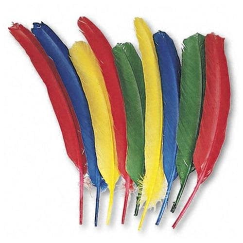 Creativity Street, PAC4503, Quill Feathers, 24 / Pack, Multicolor