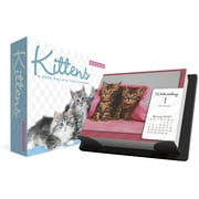 Trends International 2020 Keith Kimberlin Kittens Day-at-a-Time Box Box Calendar