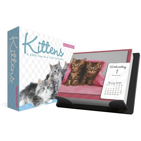 Trends International 2020 Keith Kimberlin Kittens Day-at-a-Time Box Box Calendar