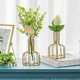 thumbnail image 2 of Glass Propagation Station with Metal Frame, Gold Flower Vase, Test Tube Vase for Hydroponic Plant, Small Bud Vase for Home Kitchen Office Table Top De, 2 of 5