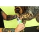 thumbnail image 5 of Cortauñas para Animales Andis 68575 para Razas Pequeñas de Acero Inoxidable, 5 of 7