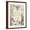 Brown Frame, variant on Art.com Pressed Floral Quote III Art Print, 12" x 16"