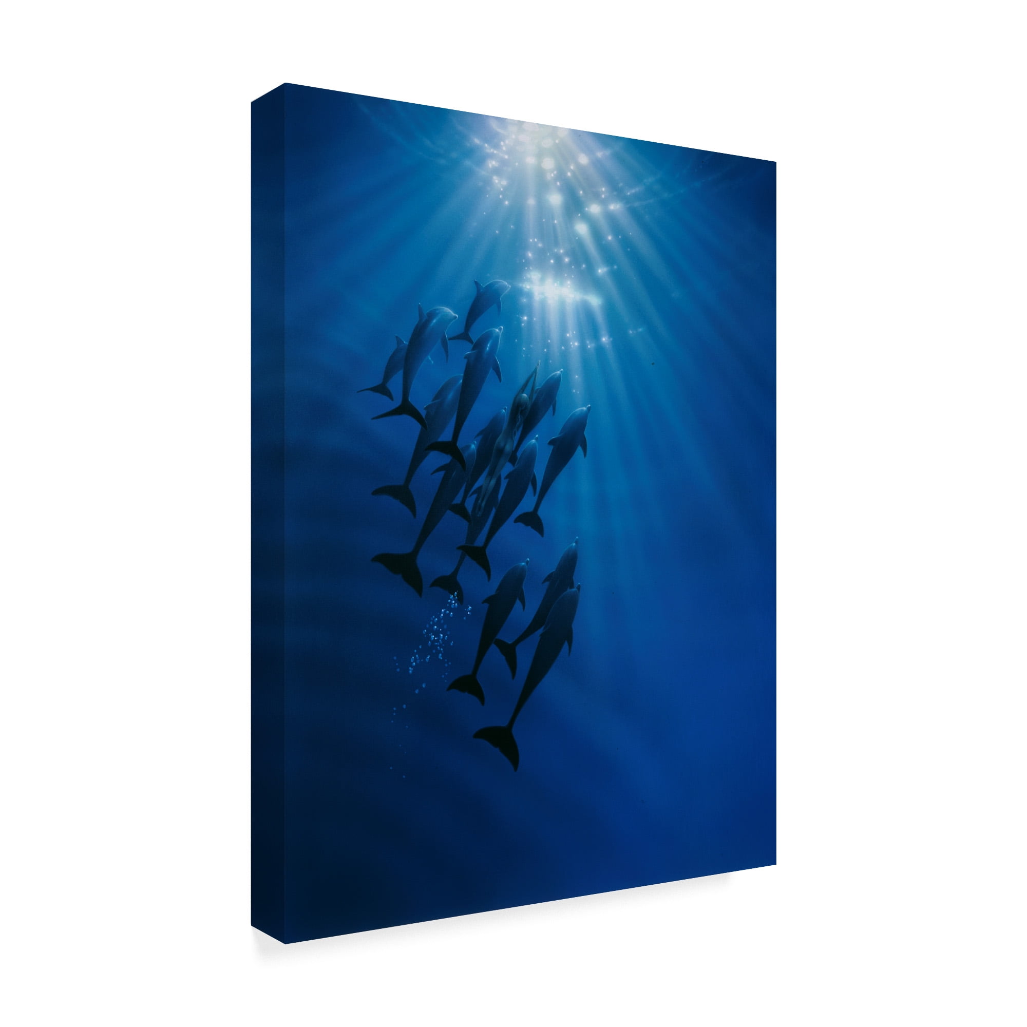 Trademark Fine Art 'The Gathering' Canvas Art by Kirk Reinert