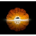 thumbnail image 2 of De Kogel, Wieteke 16x15 Gold Ornate Wood Framed with Double Matting Museum Art Print Titled - Mandarine, 2 of 4